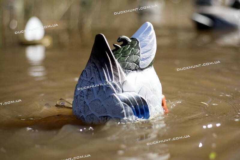 Чучело крижня що харчуется MOJO Butt Up Rippler