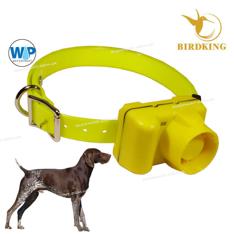 Біпер для собак Birdking DH 3518 акумуляторний, вологозахищений 
