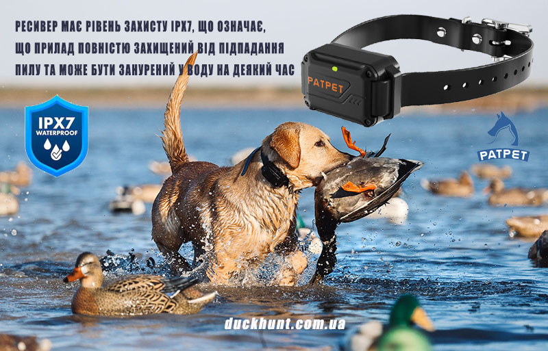 patpet_642_elektroosheynik_dlya_sobak