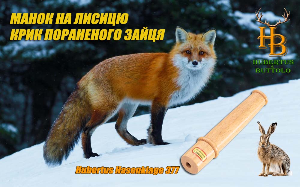 hubertus-hasenklage-381-manok-na-lisu-krik-zaytsya-pisk-mishi