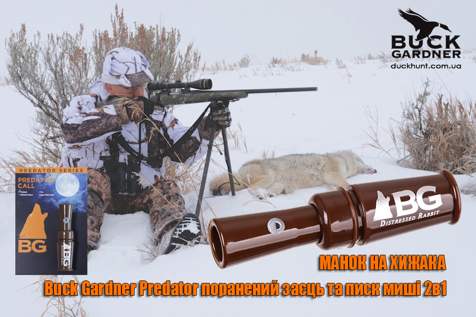 manok_na_lisu_predator_distressed_call_bg_krik_ranenogo_zaytsa