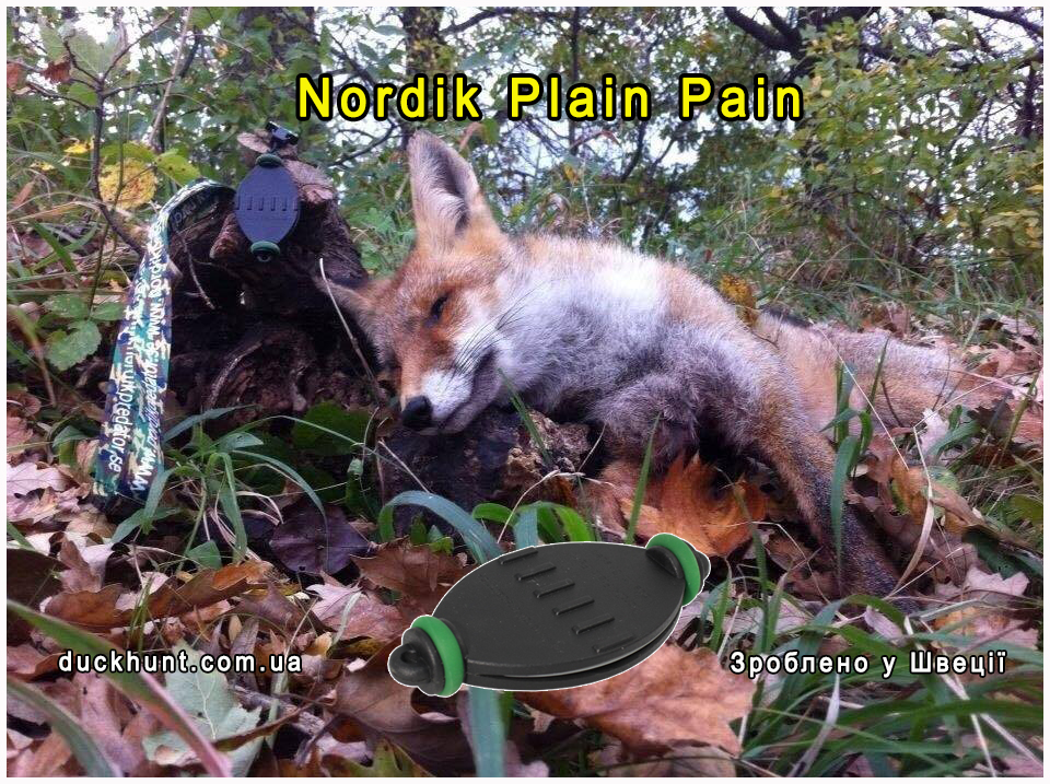 nordik_plain_pain_manok_na_lisu