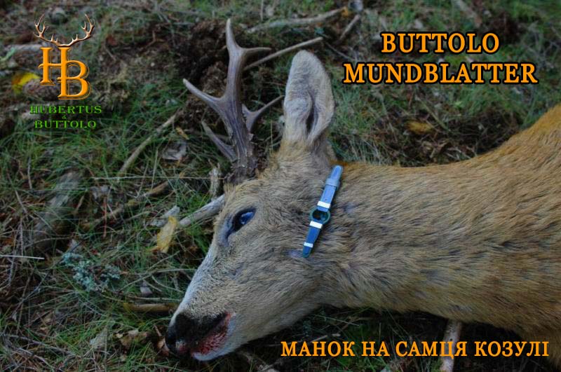 buttolo-mundblatter-manok-na-kosulyu