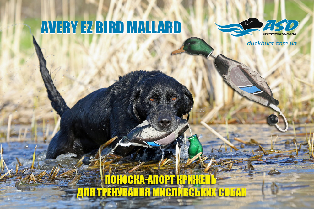 ponoska_utka_dlya_sobak_aport_dlya_sobak_mallard