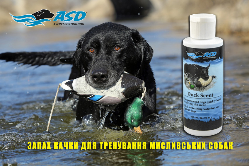 zapah-utki-kontsentrat-zapah-dlya-trenirovki-sobak-avery-zapah-vodoplavaushey-dich