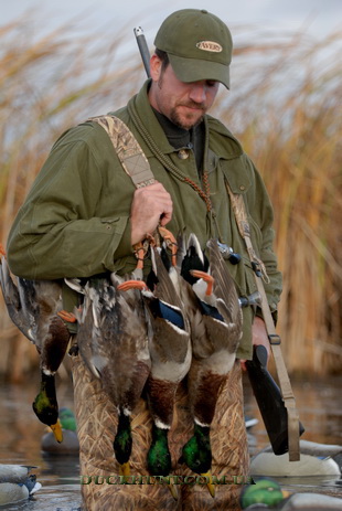 avery game hog strap 310 463