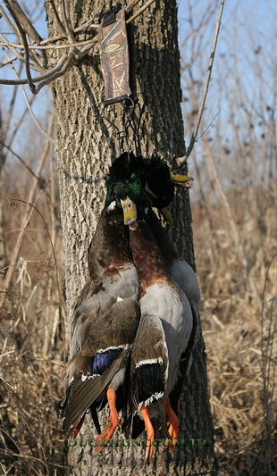 float duck strap bb 310 533