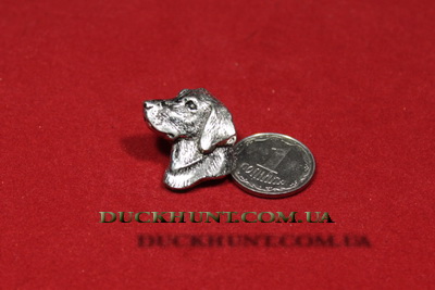 a23_small_labrador_head_