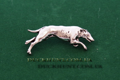 d19_greyhound_