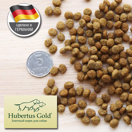 hubertus_gold_junior_451_
