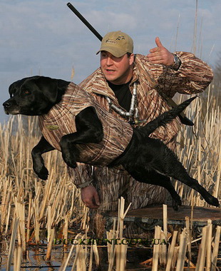 avery_ruff_stand_310_380_