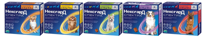 nexgard spektra t