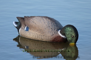 sport plast fe1003us