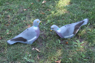 im 26 00 u sport plast 310