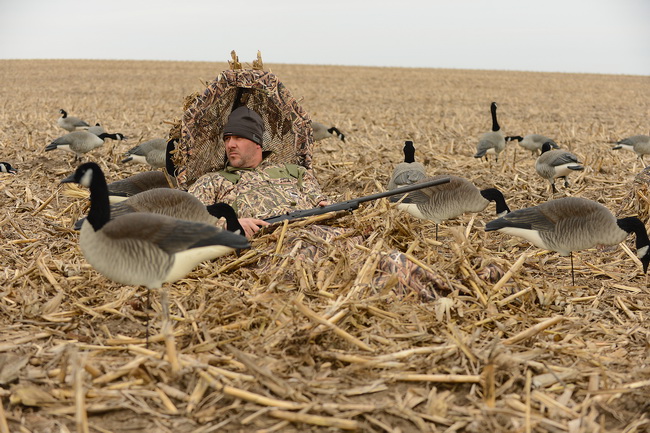 power hunter blind avery 650